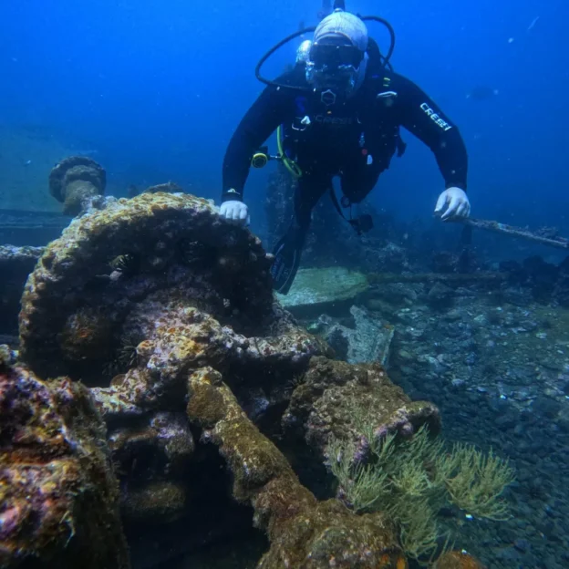 Marine life on the Bartolomé reefs