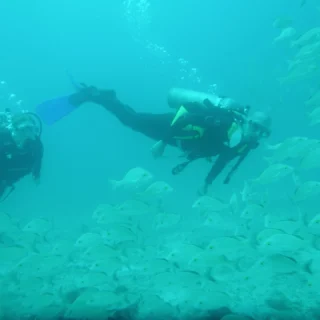 Instructor guiando a principiante durante inmersión Discovery