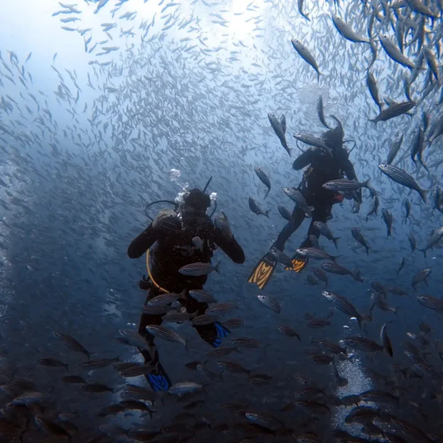 Divers surrounded by fish in León Dormido, Galapagos