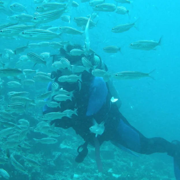 Diver surrounded by a school of fish in North Seymour