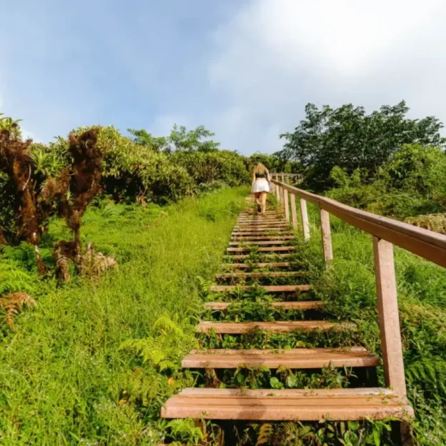 Ecological trail to El Junco Lagoon in the Galapagos