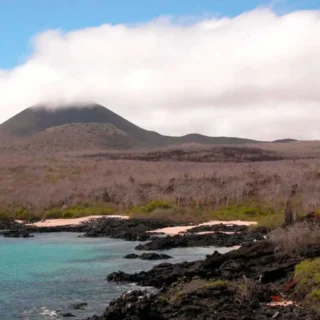 View of the volcanic coast of Floreana Island, Galapagos