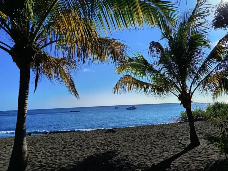 Palmeras junto al mar en Galápagos
