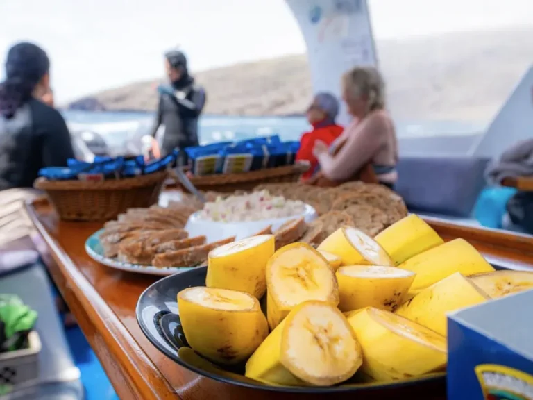 Platos típicos servidos a bordo durante un tour en Galápagos.