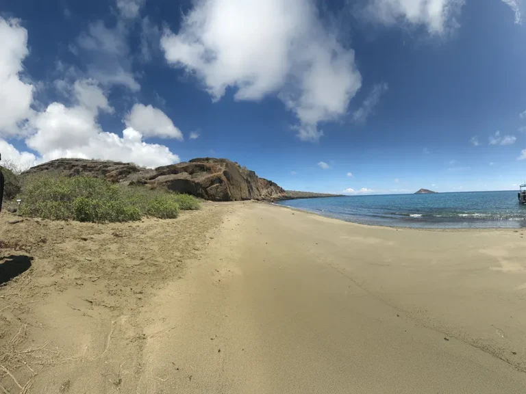 gislandstours-tours-galapagos-galeria-19