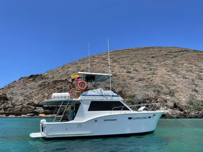 Tour de observación de aves en humedalesv