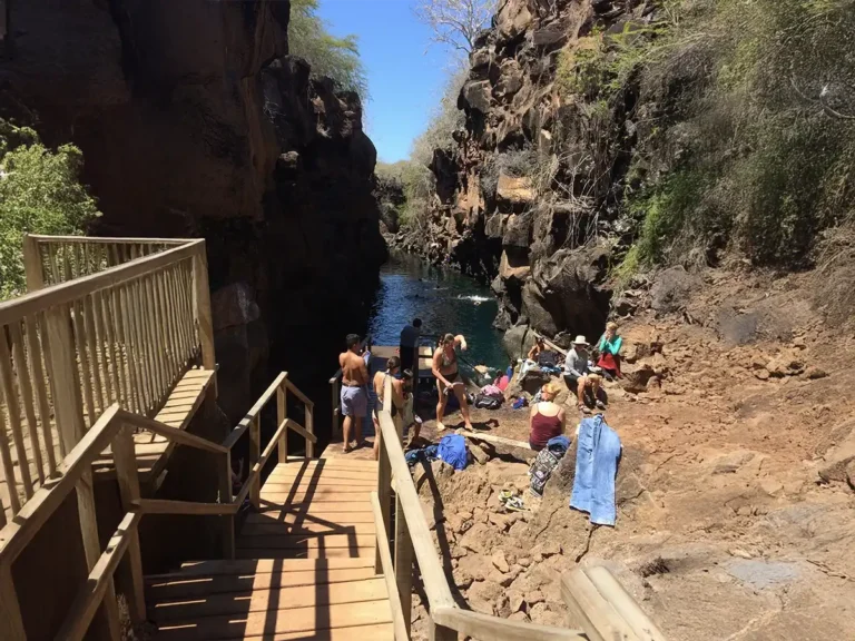 Familia disfrutando en la playa