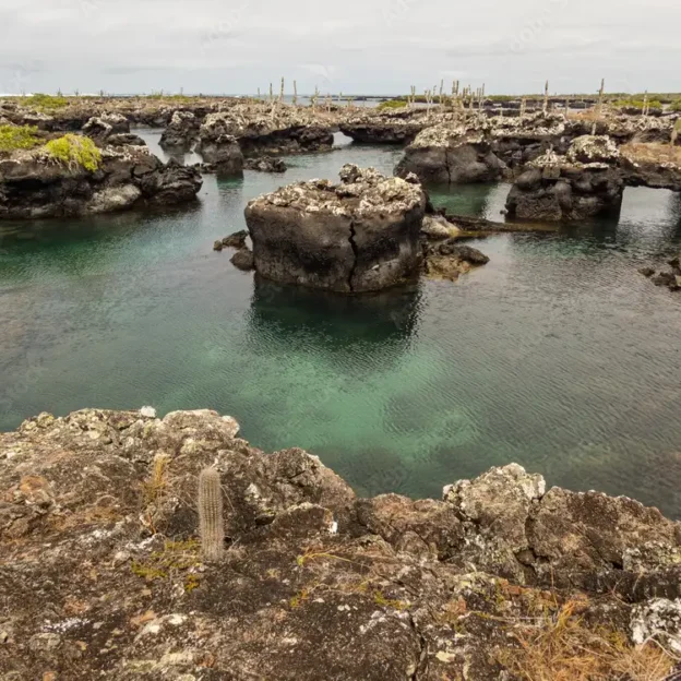 Lagoon in the Isabela wetlands, surrounded by volcanic rocks