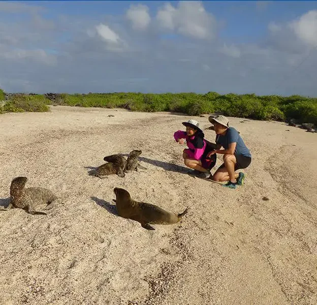 Lobos marinos descansando junto a turistas en la playa de Isla Española