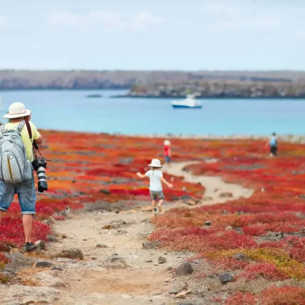 Vegetación roja y paisaje costero en Isla Plazas, Galápagos