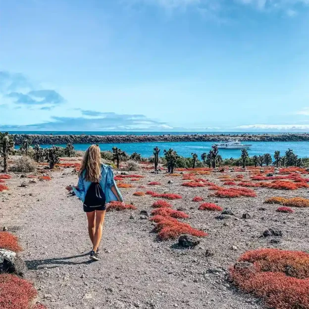 Turistas recorriendo sendero con vista al mar en Isla Plazas, Galápagos