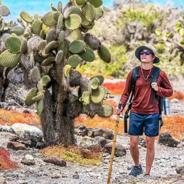 Turista caminando entre cactus gigantes en Isla Plazas, Galápagos