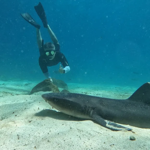 Sleeper shark resting on the seafloor at Santa Fe Island