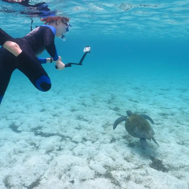 Tourists snorkeling among fish and turtles in Santa Fe, Galapagos
