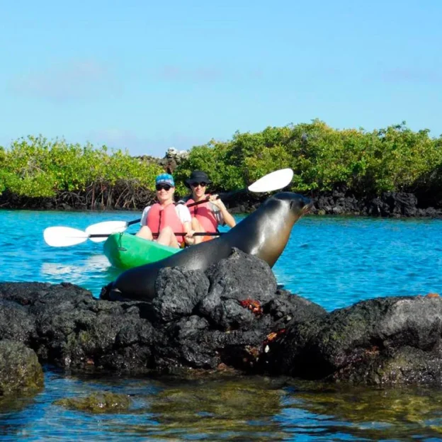 Couple in a kayak approaching the coast of Tintoreras Islet