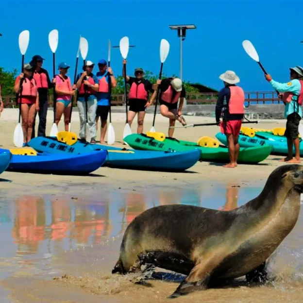Yellow kayak on turquoise waters with children enjoying the tour