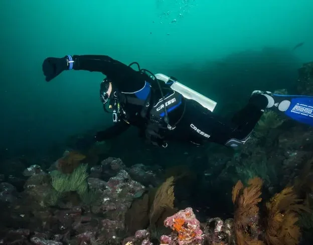 Diver with hammerhead shark in León Dormido, Galapagos