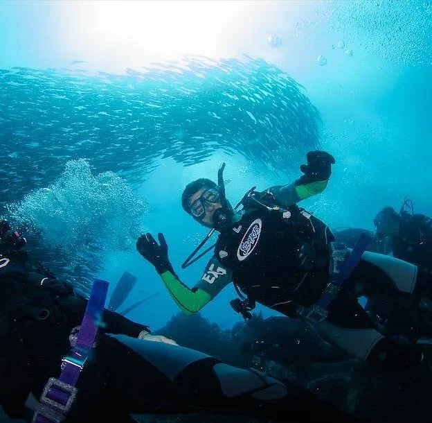 Buzos explorando bancos de peces en Rocas Gordon