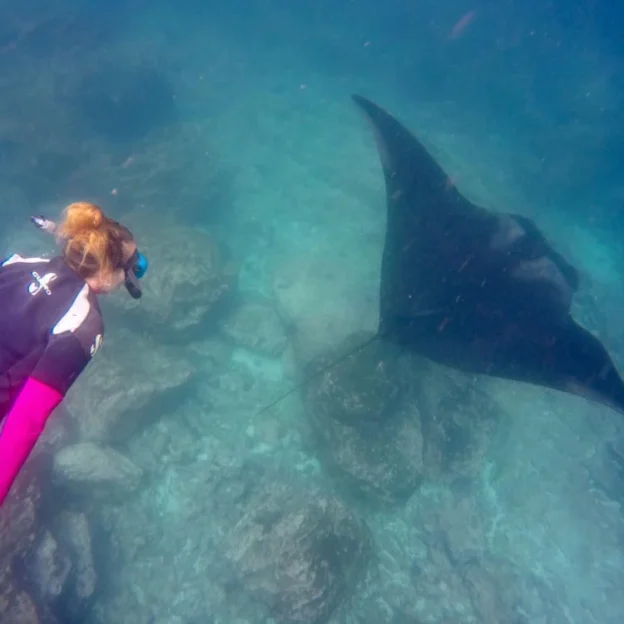 Tourists snorkeling in crystal-clear waters near Daphne Island, Galapagos